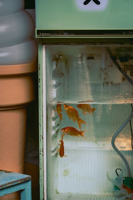 Cuidado! As 3 Geladeiras Baratas que Você DEVE Evitar em 2026 [Não Cometa Esse Erro]